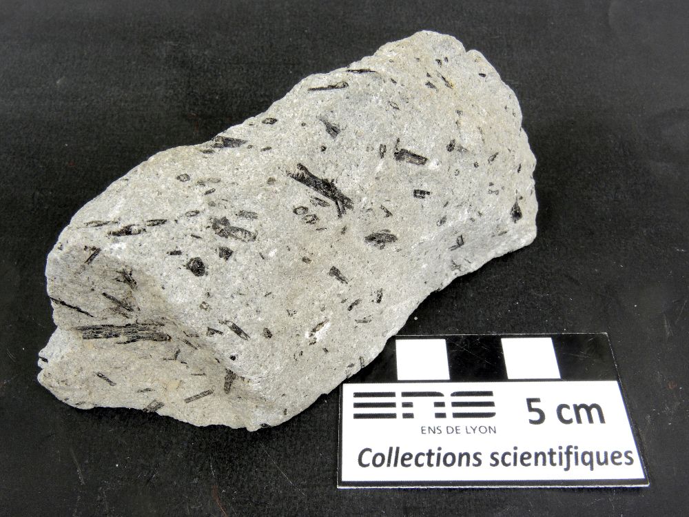 Andésite porphyrique à amphibole Andésite porphyrique à amphibole Axe volcanique trans-mexicain Pico de Orizaba